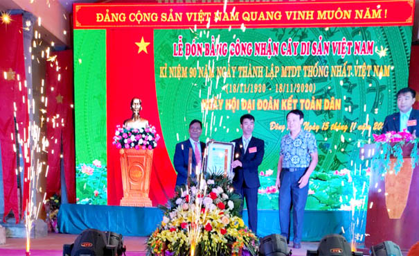 Xã[-]Tam[-]Cường[-]tưng[-]bừng[-]tổ[-]chức[-]lễ[-]đón[-]Bằng[-]công[-]nhận[-]Cây[-]Di[-]sản[-]Việt[-]Nam[-]cho[-]5[-]danh[-]mộc[-]cổ[-]thụ